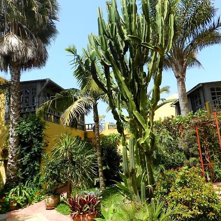 Dar Beldi Bed & Breakfast Oualidia Dış mekan fotoğraf
