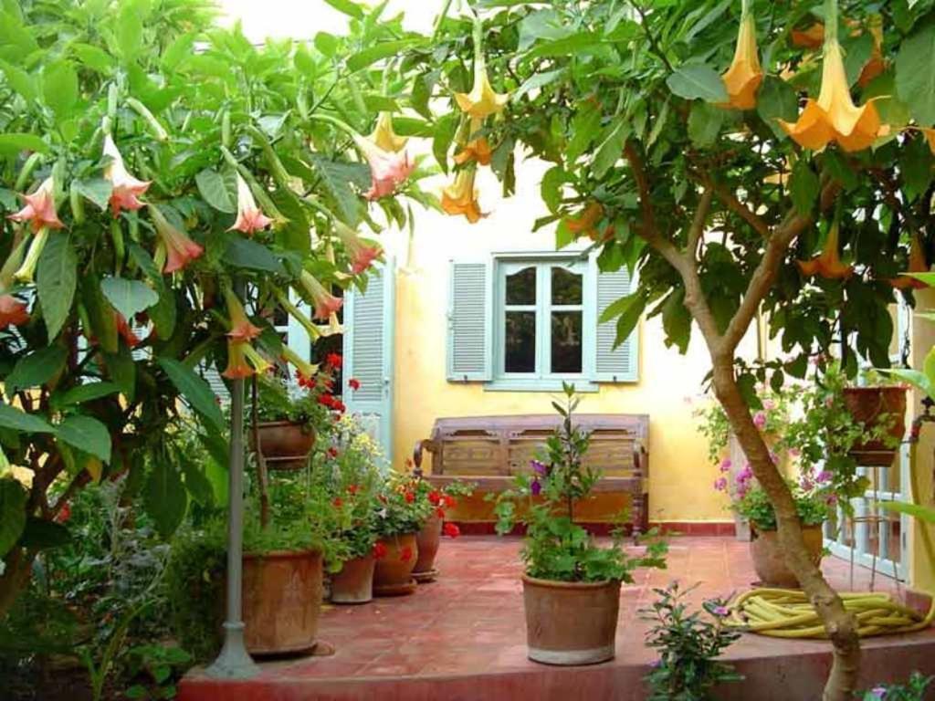 Dar Beldi Bed & Breakfast Oualidia Dış mekan fotoğraf