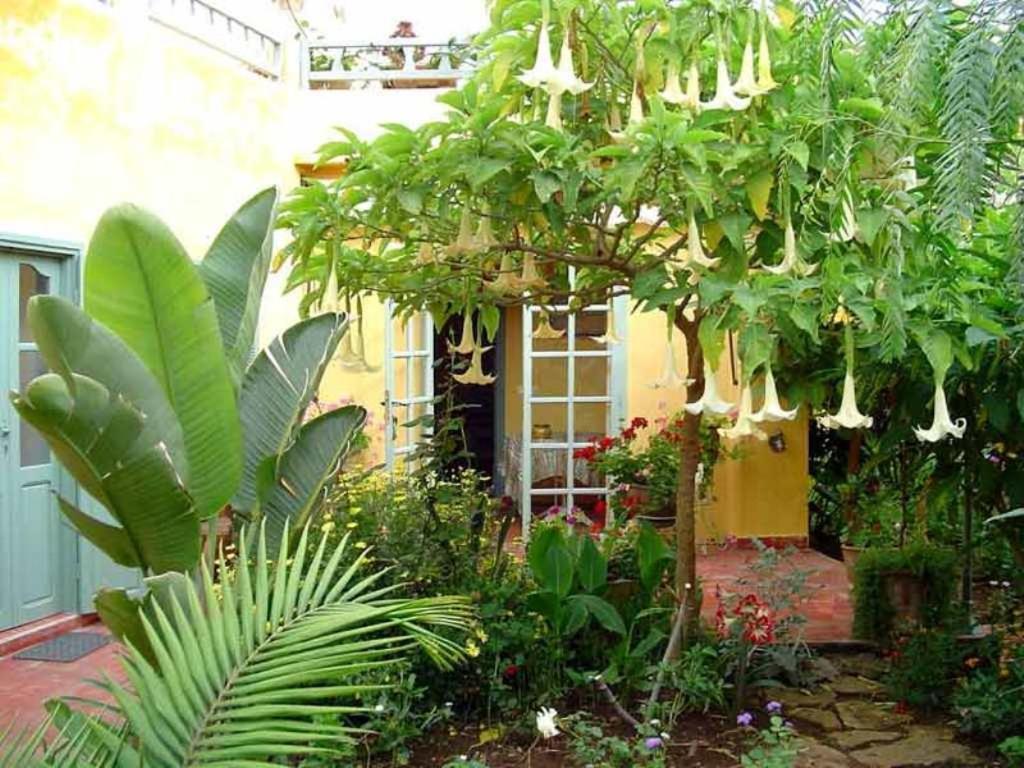 Dar Beldi Bed & Breakfast Oualidia Dış mekan fotoğraf