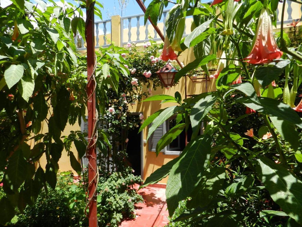 Dar Beldi Bed & Breakfast Oualidia Oda fotoğraf
