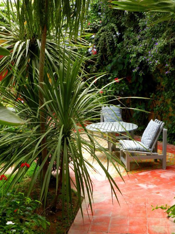 Dar Beldi Bed & Breakfast Oualidia Oda fotoğraf