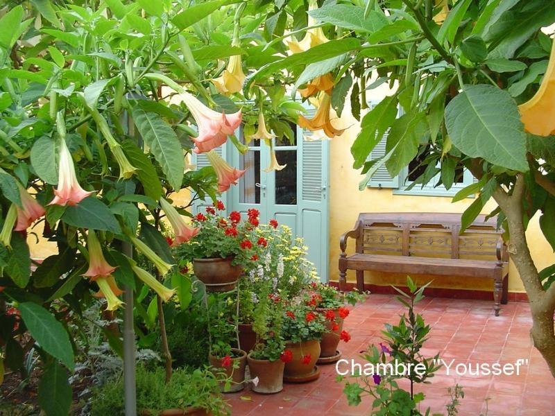 Dar Beldi Bed & Breakfast Oualidia Oda fotoğraf